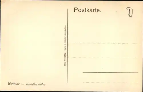 Ak Weimar in Thüringen, Bevedére Allee, Straßenpartie, Bäume