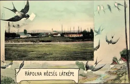 Passepartout Ak Kápolna Ungarn, Gesamtansicht, Schwalben