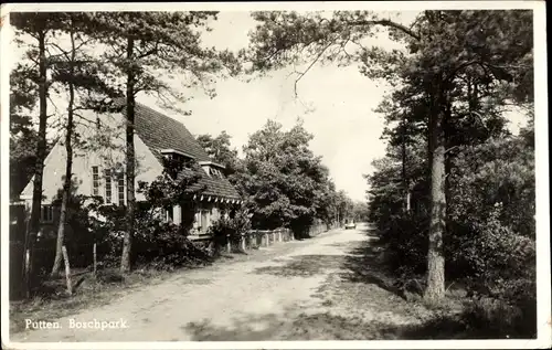 Ak Putten Gelderland, Boschpark