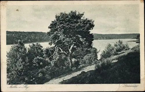 Ak Mölln im Herzogtum Lauenburg, Drüsensee