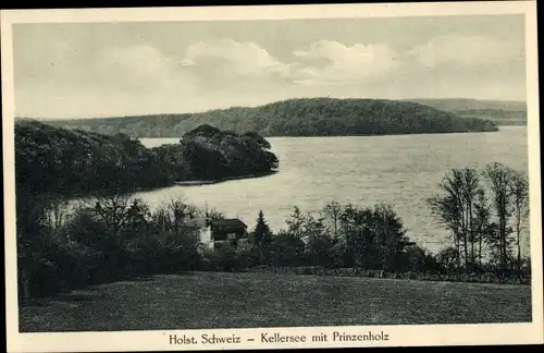 Ak Malente in Ostholstein, Kellersee, Prinzenholz