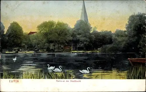 Ak Eutin Ostholstein, Stadtbucht, Bootsanlegestelle, Schwäne