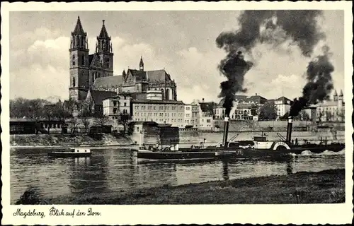 Ak Magdeburg an der Elbe, Dom, Dampfschiffe