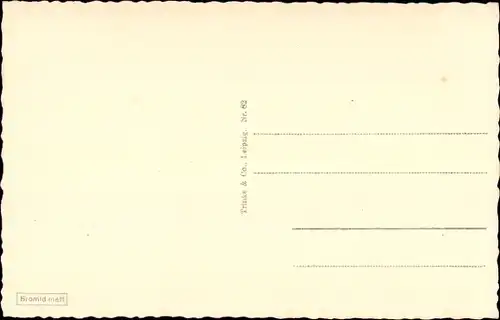 Ak Magdeburg an der Elbe, Dom, Dampfschiffe