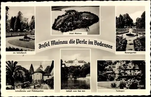 Ak Insel Mainau im Bodensee, Schloss, Torbogen, Rosengarten, Phönixpalme, Schlosspark