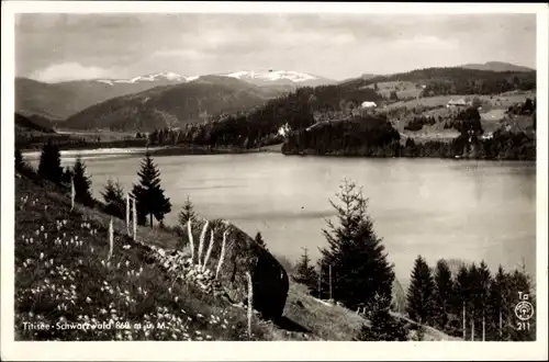 Ak Titisee Neustadt im Breisgau Hochschwarzwald, Panorama