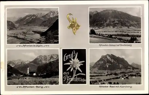 Ak Pfronten im Allgäu, Breitenberg, Ried, Kienberg, Edelweiß