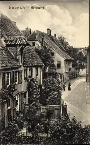 Ak Münster in Westfalen, Straßenpartie