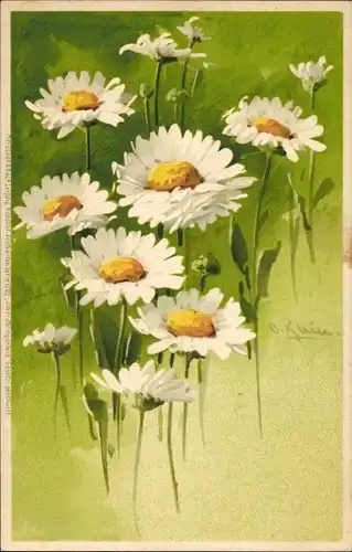 Künstler Litho Klein, Catharina, Gänseblümchen, Meissner & Buch 1202