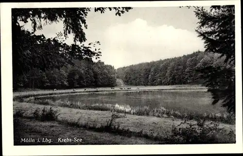 Ak Mölln im Herzogtum Lauenburg, Krebs-See