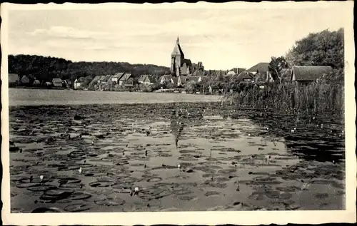 Ak Mölln im Herzogtum Lauenburg, Stadtsee, Seerosen, Ortsansicht, Kirche