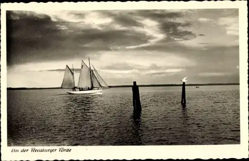 Ak Flensburg in Schleswig Holstein, Flensburger Förde, Segelboot