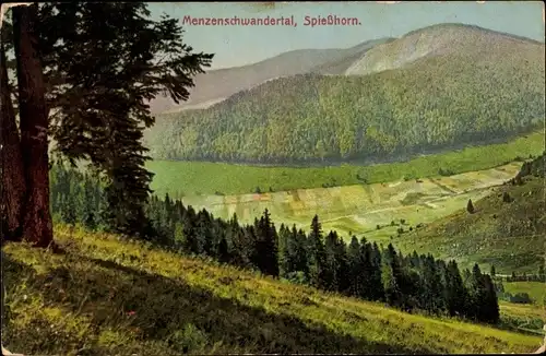 Ak Feldberg Schwarzwald, Menzenschwandertal, Spießhorn
