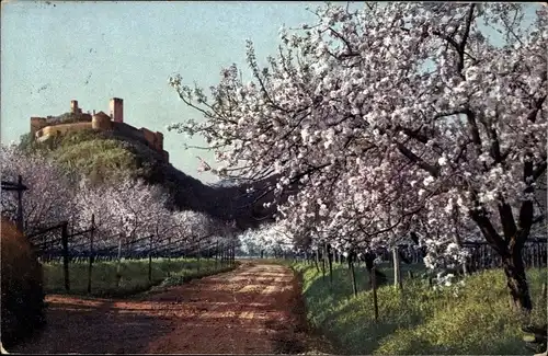 Ak Tirol, Obstblüte, Burg