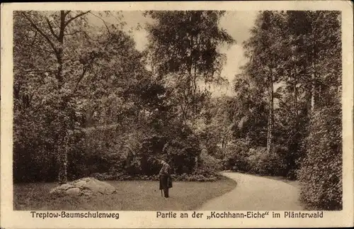 Ak Berlin Treptow Baumschulenweg, Kochhann-Eiche, Plänterwald