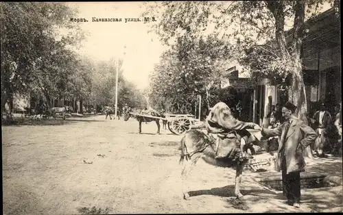 Ak Merw Turkmenistan, Kawkasskaja Straße, Esel