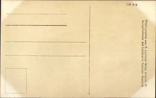 Ak Wien, Kaiserhuldigungs-Festzug 1908, Tribüne, Zuschauer