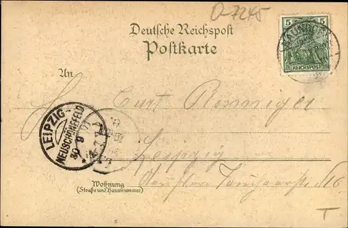 Litho Naunhof im Kreis Leipzig, Kaiser Wilhelm Straße, Post, Königliche Oberförsterei, Neue Pfarre
