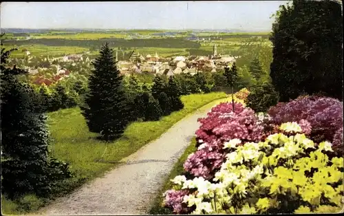 Ak Kamenz Sachsen, Azaleen Anlagen