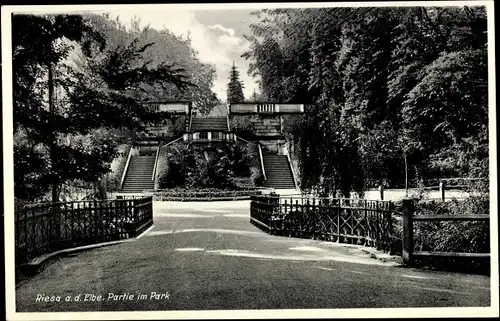 Ak Riesa an der Elbe Sachsen, Park, Freitreppe