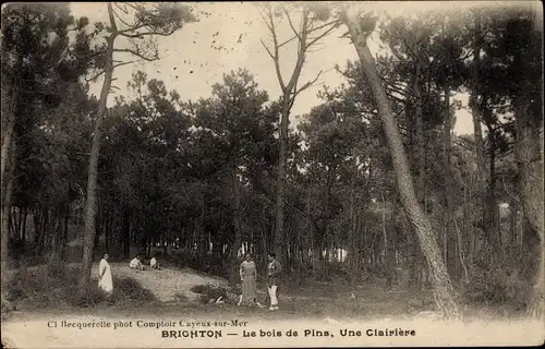 Ak Brighton French Cayeux Somme, The Pine Wood, A Clearing