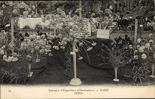 Ak Paris, Gartenbauausstellung, Nelken