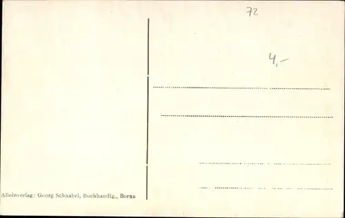 Ak Borna in Sachsen, Markt mit Rathaus, Realgymnasium, Gesamtansicht