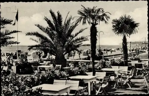 Ak Grömitz in Ostholstein, Terrasse, Palmen, Strandpartie