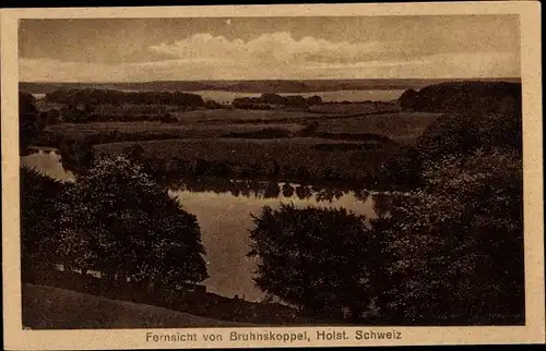 Ak Bruhnskoppel Malente in Ostholstein, Panorama