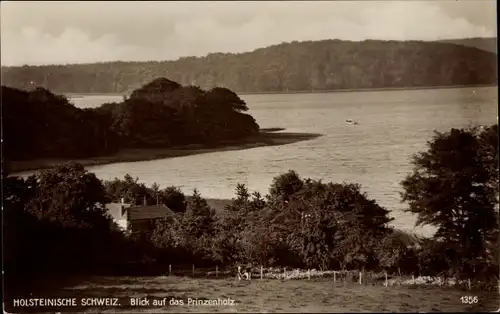 Ak Malente in Ostholstein, Prinzenholz