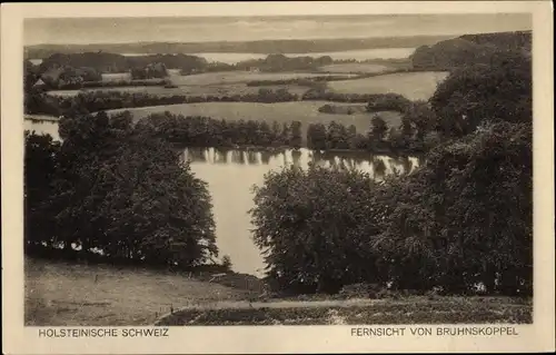 Ak Bruhnskoppel Malente in Ostholstein, Panorama