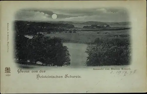 Mondschein Ak Bruhnskoppel Malente in Ostholstein, Panorama