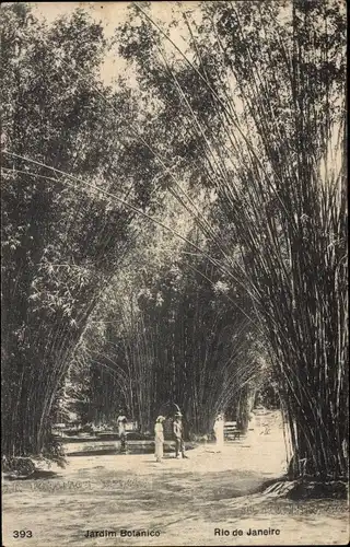 Ak Rio de Janeiro Brasilien, Botanischer Garten