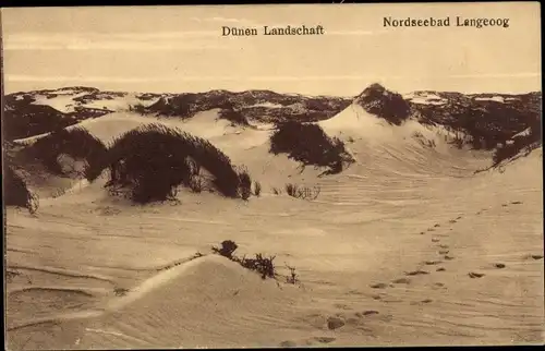 Ak Nordseebad Langeoog Ostfriesland, Dünenlandschaft