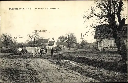 Ak Mormant Seine et Marne, Le Hameau d'Yvernailles, boeufs et paysannes