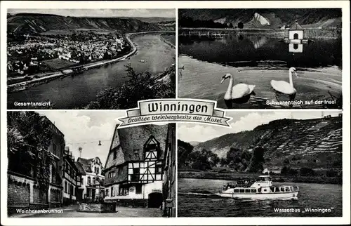 Ak Winningen in Rheinland Pfalz, Wasserbus Winningen, Weinhexenbrunnen, Ortsansicht