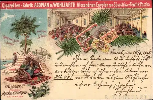 Litho Zigaretten-Fabrik Acopian & Wohlfarth, Alexandria Ägypten