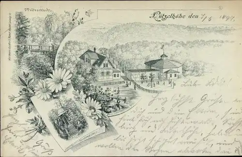 Litho Lützelhöhe Frankenberg an der Zschopau, Gastwirtschaft, Wolfsschlucht, Strohtempel