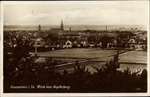 Ak Großenhain in Sachsen, Gesamtansicht, Kupferberg