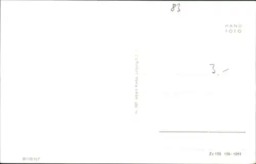 Ak Bad Schandau Sächsische Schweiz, Straßenpartie