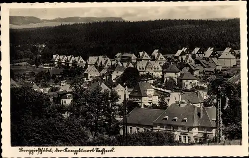 Ak Berggießhübel in Sachsen, Totalansicht