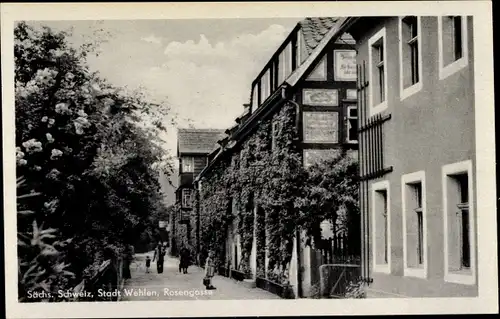 Ak Stadt Wehlen an der Elbe Sächsische Schweiz, Rosengasse, Passanten