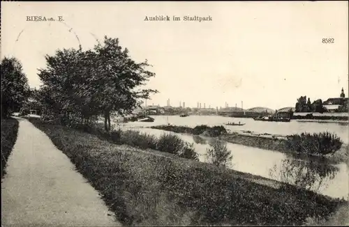 Ak Riesa an der Elbe Sachsen, Ausblick Stadtpark, Fluss