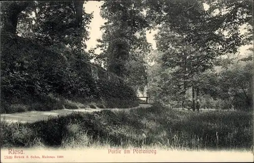 Ak Riesa an der Elbe Sachsen, Poetenweg