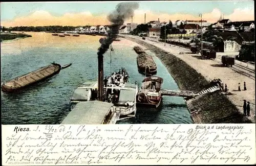 Ak Riesa an der Elbe Sachsen, Landungsplatz, Schiffe, Promenade, Eisenbahn