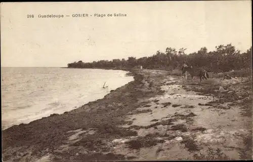 Ak Le Gosier Guadeloupe, Saline Beach