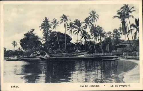 Ak Rio de Janeiro Brasilien, Ile de Paqueta, Palmen und Gebäude auf einer Insel