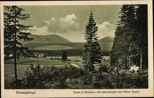 Ak Wilcza Poręba Wolfshau Karpacz Krummhübel Riesengebirge Schlesien, Schneekoppe, Kleine Koppe