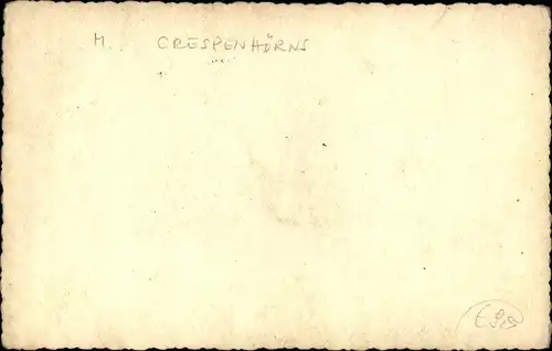 Foto Portrait eines Mannes, Fliege, M. Crespenhörns, Autogramm