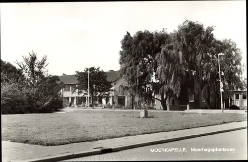 Ak Moerkapelle Südholland, Moerhageplantsoen